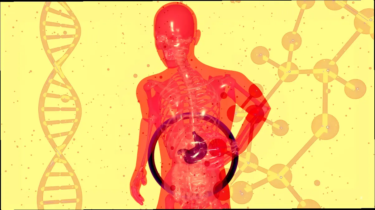 소화불량 유형별 맞춤 솔루션: 나에게 딱 맞는 해결책 찾기 🔑