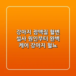 강아지 점액질 혈변 설사 원인부터 완벽 케어 강아지 혈뇨