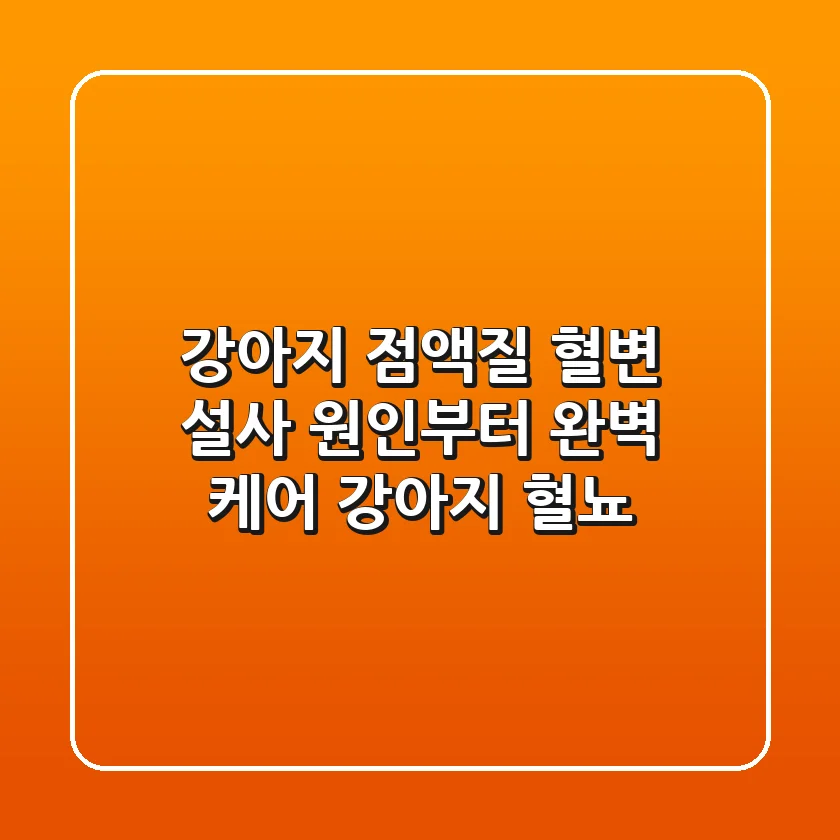 강아지 점액질 혈변 설사 원인부터 완벽 케어 강아지 혈뇨
