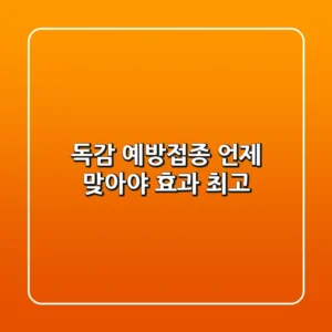 독감 예방접종 언제 맞아야 효과 최고
