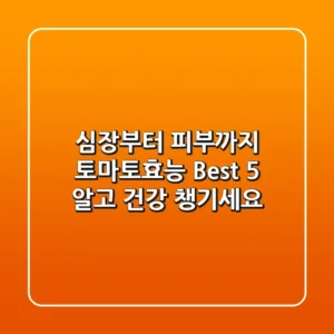 심장부터 피부까지 토마토효능 Best 5 알고 건강 챙기세요