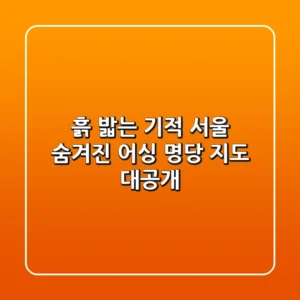 흙 밟는 기적! 서울 숨겨진 어싱 명당 지도 대공개!