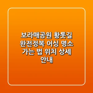 보라매공원 황톳길 완전정복! 어싱 명소 가는 법 & 위치 상세 안내