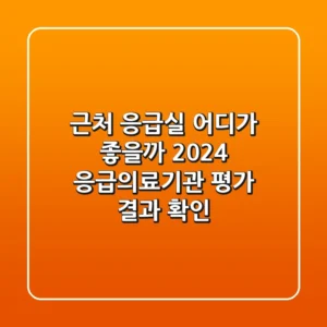 근처 응급실, 어디가 좋을까? 2024 응급의료기관 평가 결과 확인!