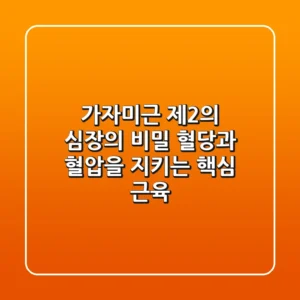가자미근, '제2의 심장'의 비밀! 혈당과 혈압을 지키는 핵심 근육