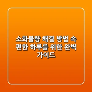 소화불량 해결 방법: 속 편한 하루를 위한 완벽 가이드