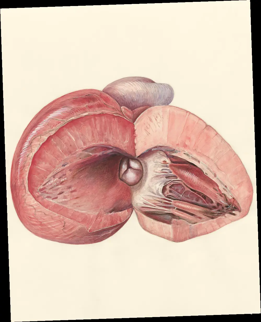 C형간염 검사, 꼼꼼하게 파헤쳐 보기!