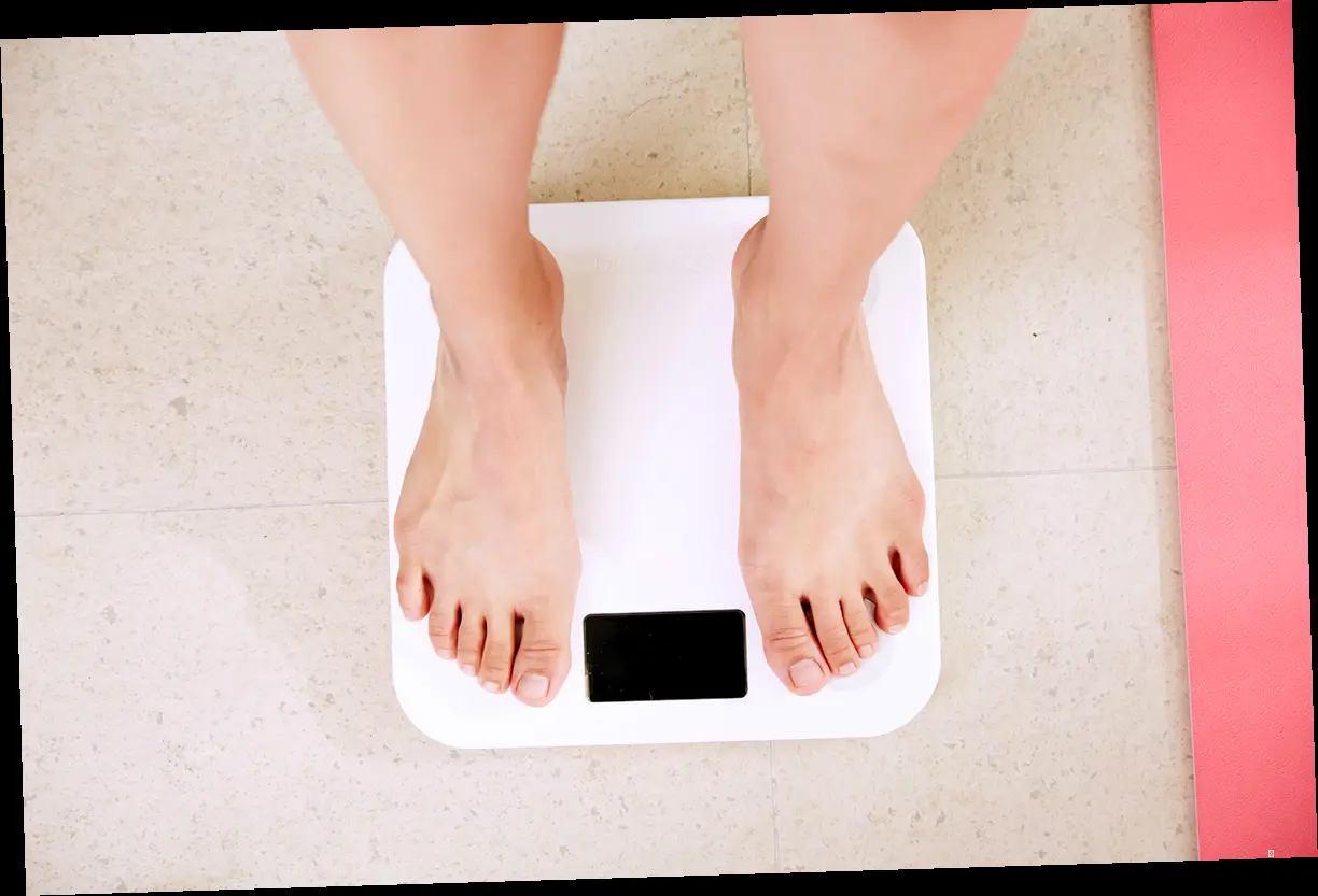스위치온 다이어트 핵심 원리 파헤치기 🔎