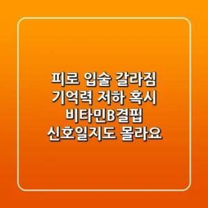 피로, 입술 갈라짐, 기억력 저하? 혹시 #비타민B결핍 신호일지도 몰라요!