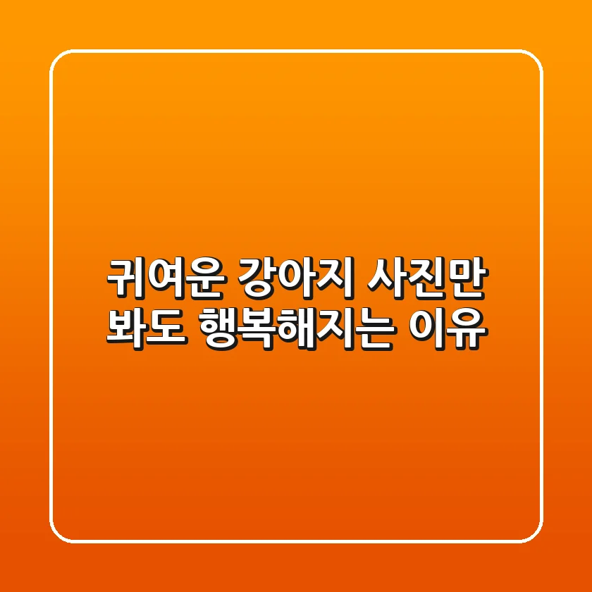 귀여운 강아지 사진만 봐도 행복해지는 이유
