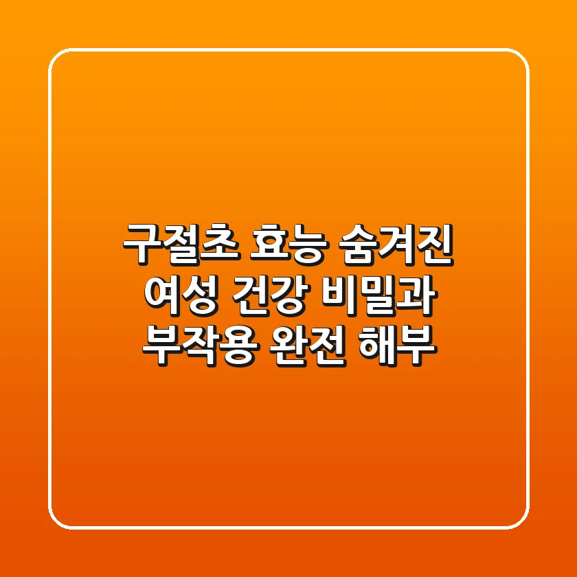 구절초 효능: 숨겨진 여성 건강 비밀과 부작용 완전 해부