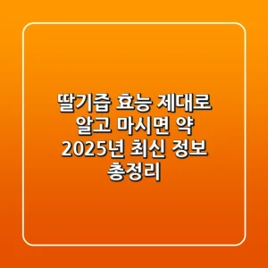 딸기즙 효능 제대로 알고 마시면 약! 2025년 최신 정보 총정리