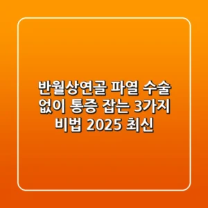 반월상연골 파열, 수술 없이 통증 잡는 3가지 비법 (2025 최신)