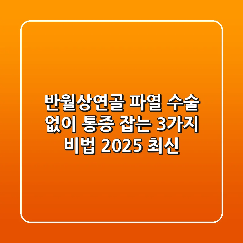 반월상연골 파열, 수술 없이 통증 잡는 3가지 비법 (2025 최신)