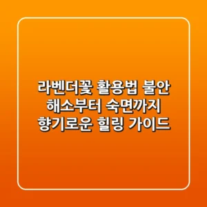라벤더꽃 활용법: 불안 해소부터 숙면까지, 향기로운 힐링 가이드