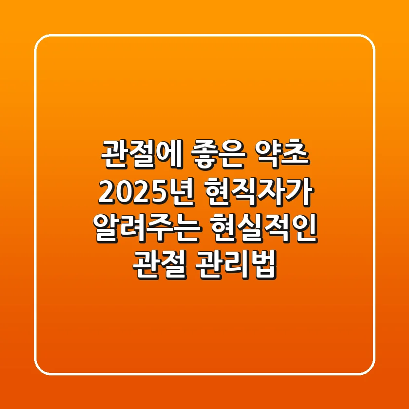 관절에 좋은 약초, 2025년 현직자가 알려주는 현실적인 관절 관리법