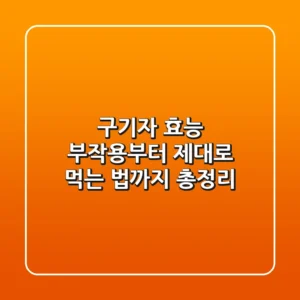 구기자 효능, 부작용부터 제대로 먹는 법까지 총정리!