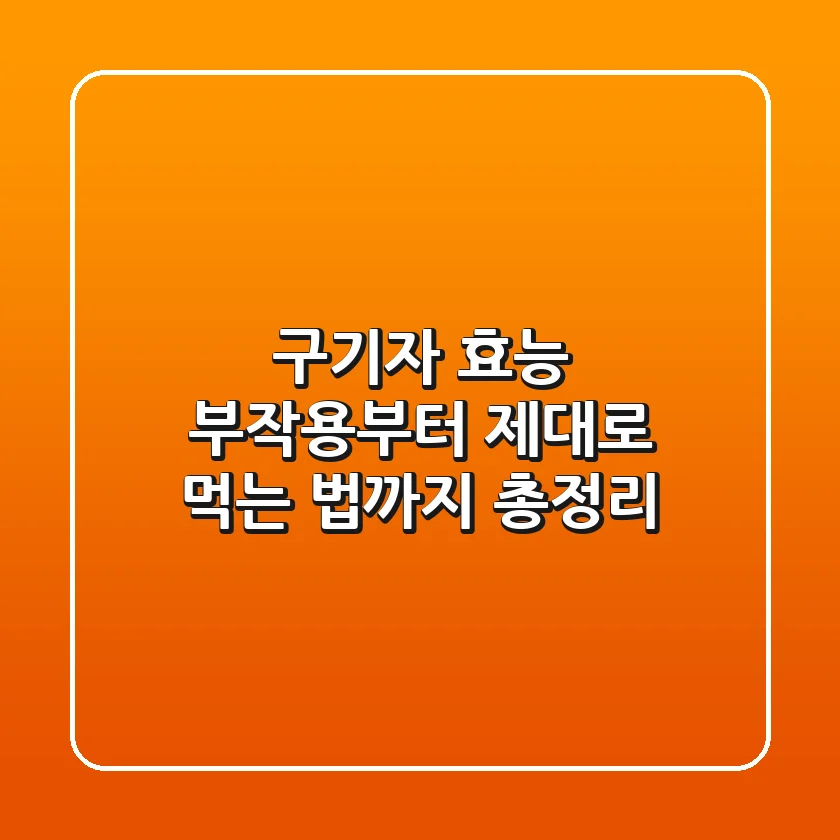 구기자 효능, 부작용부터 제대로 먹는 법까지 총정리!
