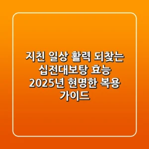 지친 일상, 활력 되찾는 십전대보탕 효능: 2025년 현명한 복용 가이드