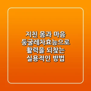 지친 몸과 마음, 둥굴레차효능으로 활력을 되찾는 실용적인 방법