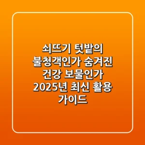 쇠뜨기, 텃밭의 불청객인가? 숨겨진 건강 보물인가? 2025년 최신 활용 가이드