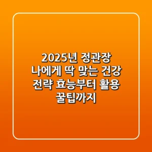 2025년 정관장, 나에게 딱 맞는 건강 전략: 효능부터 활용 꿀팁까지
