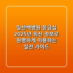 일산백병원 응급실, 2025년 최신 정보로 현명하게 이용하는 실전 가이드