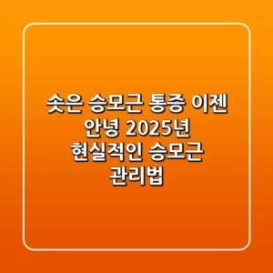 솟은 승모근, 통증 이젠 안녕! 2025년 현실적인 승모근 관리법