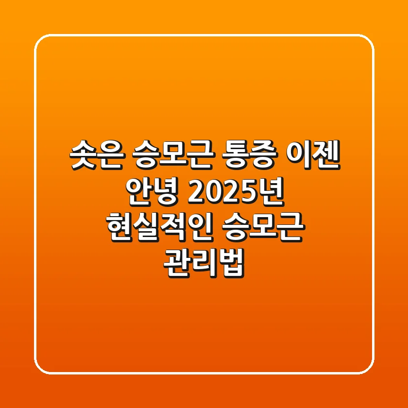 솟은 승모근, 통증 이젠 안녕! 2025년 현실적인 승모근 관리법