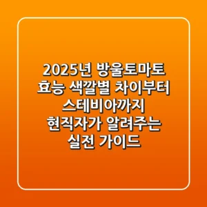 2025년 방울토마토 효능, 색깔별 차이부터 스테비아까지! 현직자가 알려주는 실전 가이드