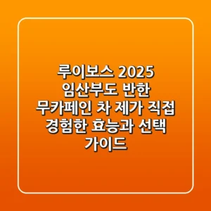루이보스 2025: 임산부도 반한 무카페인 차, 제가 직접 경험한 효능과 선택 가이드