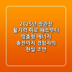 2025년 정관장 활기력: 피로 해소부터 맞춤형 에너지 충전까지, 경험자의 현실 조언