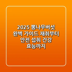 2025 뽕나무버섯 완벽 가이드: 채취부터 안전 섭취, 건강 효능까지