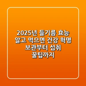 2025년 들기름 효능, 알고 먹으면 건강 혁명! 보관부터 섭취 꿀팁까지