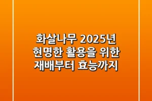 화살나무, 2025년 현명한 활용을 위한 재배부터 효능까지
