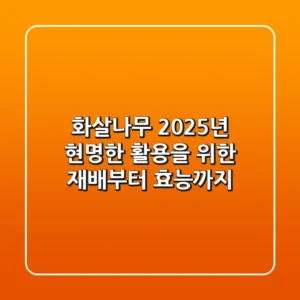 화살나무, 2025년 현명한 활용을 위한 재배부터 효능까지