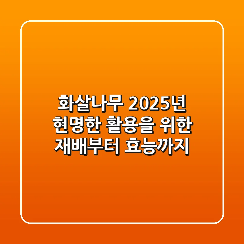 화살나무, 2025년 현명한 활용을 위한 재배부터 효능까지