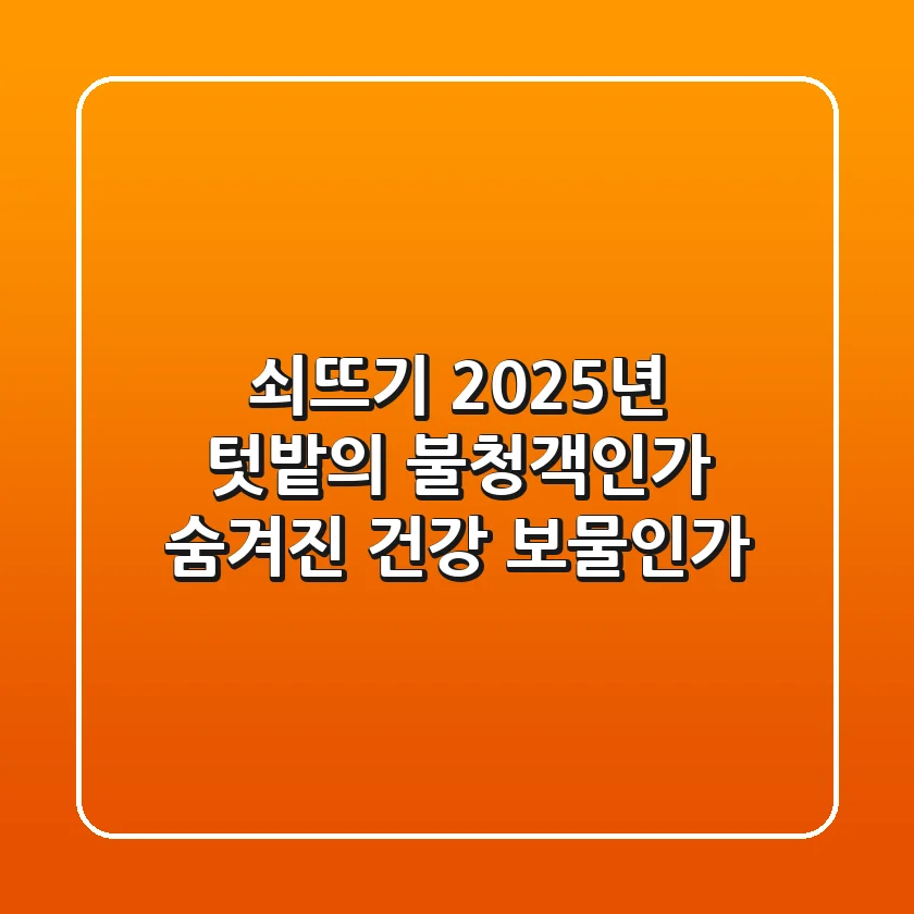 쇠뜨기, 2025년 텃밭의 불청객인가? 숨겨진 건강 보물인가?
