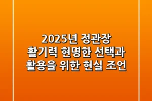 2025년 정관장 활기력, 현명한 선택과 활용을 위한 현실 조언