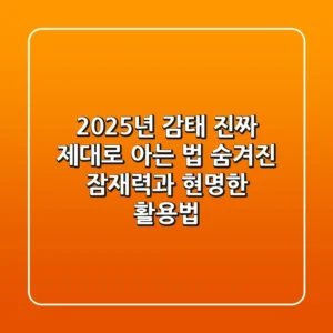 2025년 감태, 진짜 제대로 아는 법: 숨겨진 잠재력과 현명한 활용법