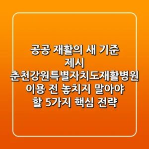 "공공 재활의 새 기준 제시", 춘천강원특별자치도재활병원 이용 전 놓치지 말아야 할 5가지 핵심 전략