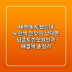 "새벽에 토했는데 노란색 쓴맛이 났다면", 담즙토쓴맛원인과 해결책 총정리
