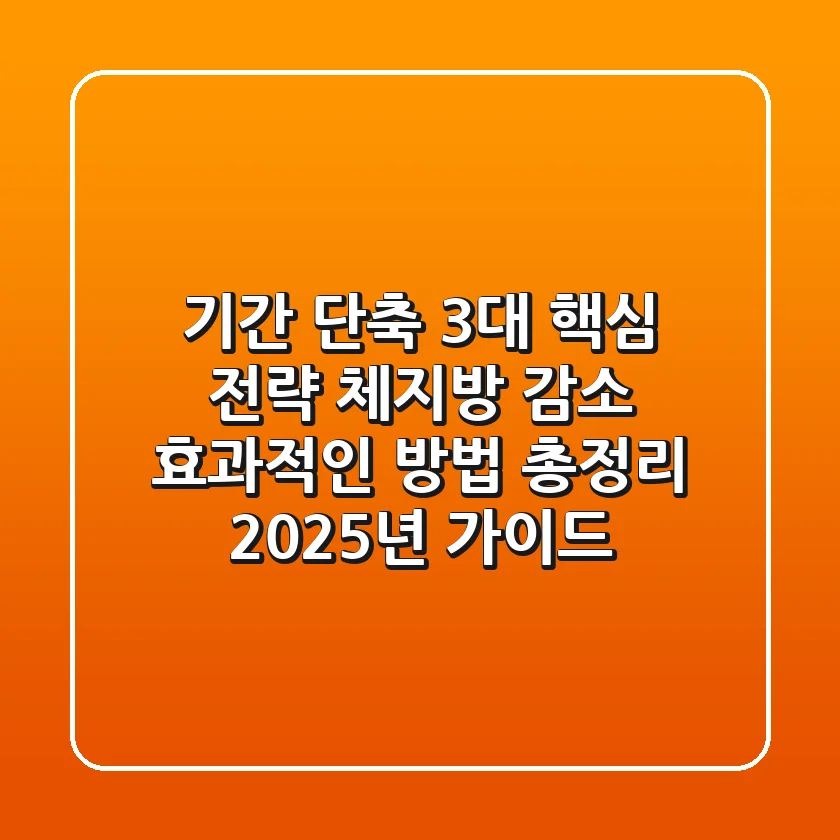 "기간 단축 3대 핵심 전략", 체지방 감소 효과적인 방법 총정리 (2025년 가이드)