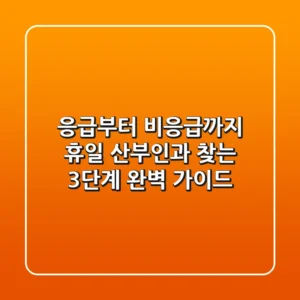 "응급부터 비응급까지", 휴일 산부인과 찾는 3단계 완벽 가이드