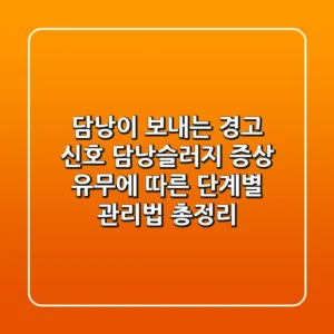 "담낭이 보내는 경고 신호", 담낭슬러지 증상 유무에 따른 단계별 관리법 총정리