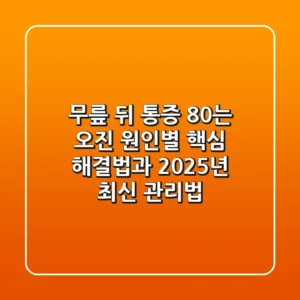 "무릎 뒤 통증 80%는 오진?", 원인별 핵심 해결법과 2025년 최신 관리법