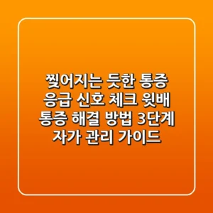 "찢어지는 듯한 통증" 응급 신호 체크! 윗배 통증 해결 방법 3단계 자가 관리 가이드