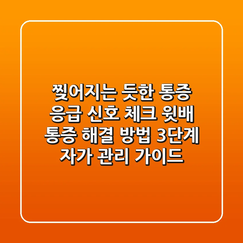 "찢어지는 듯한 통증" 응급 신호 체크! 윗배 통증 해결 방법 3단계 자가 관리 가이드