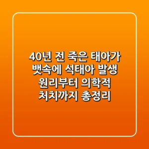 "40년 전 죽은 태아가 뱃속에?" 석태아 발생 원리부터 의학적 처치까지 총정리