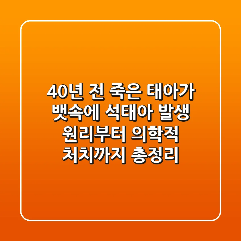 "40년 전 죽은 태아가 뱃속에?" 석태아 발생 원리부터 의학적 처치까지 총정리